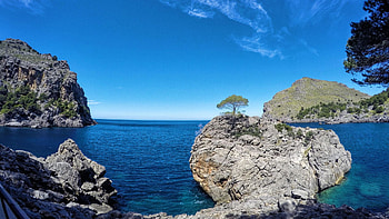 Water, land and life inTorrent de Pareis, La Calobra, Spain, sea, coast, mediterranean, Mallorca, rocks, tree HD wallpaper