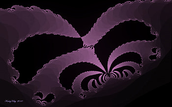 Spider Fractal in Rose, black, fractals, spider fractal, spider, mauve, rose, pink, cg, fractal HD wallpaper