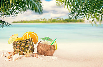 Pineapple, Coconuts HD wallpaper