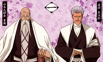 division 1, vice capitaine, shigekuni, sasakibe, genryusai, yamamoto, 1, chojiro, division HD wallpaper