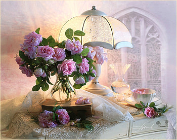 Still life, softness, graphy, tea, lamp, colors, beauty, delicate, abstract, white, roses, window, vase, cup, interior, shadows, pink, flowers, drink HD wallpaper
