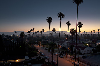 Street, Los Angeles, California, House, , Night, Palm Tree, Cities HD wallpaper