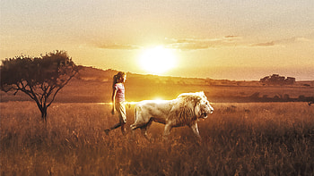 Mia And The White Lion, movies, lion HD wallpaper