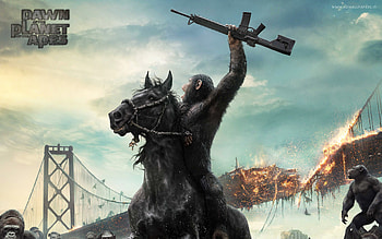 Dawn of the Planet of the Apes Movie, movies HD wallpaper
