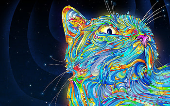 Lsd - afari HD wallpaper
