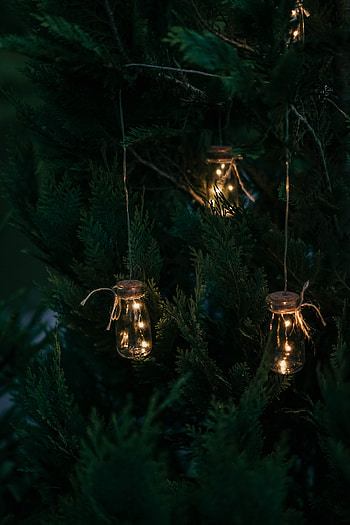 Dark, Garland, Decoration, Light Bulbs, Thuja HD phone wallpaper