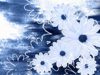 Daisies, 3d HD wallpaper