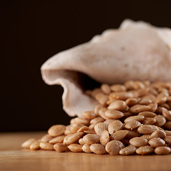 Fried and salted, Forever cheese, Spanish marcona almonds, Gourmet delight HD phone wallpaper