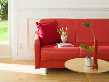 Flower, Miscellanea, Miscellaneous, Pillow, Sofa, Furniture HD wallpaper