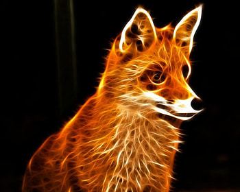 FRACTAL,FOX, animal, fractal, fox HD wallpaper