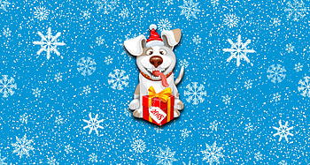 2018, happy new year, dog, gift box, Christmas HD wallpaper