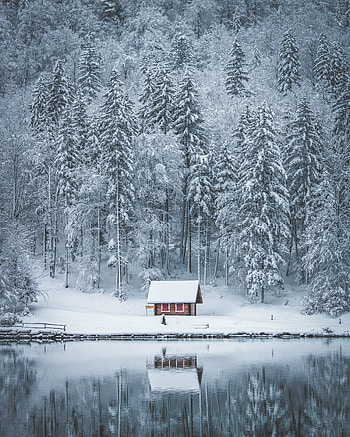 Winter, house, lake, frozen lake, forest, nature HD phone wallpaper