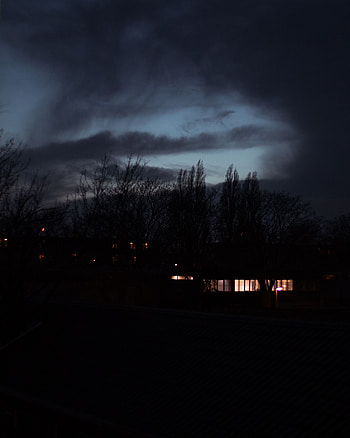 Trees, Sky, Night, Building, Dark, Shine, Light, Darkness HD phone wallpaper