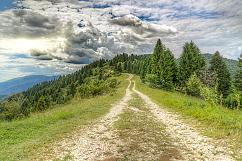 Nature, Clouds, Road, Forest, Dahl, Distance HD wallpaper