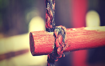 Macro, Wood, Wooden, Tree, Rope HD wallpaper