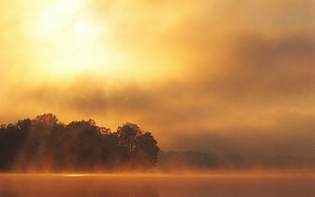 Sunset Over Forest, mist, fog, nature, sun, forest, sunset, sunrise HD wallpaper