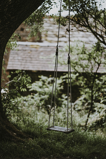 Grass, Miscellanea, Miscellaneous, Ropes, Cordage, Blur, Smooth, Swing, Childhood HD phone wallpaper