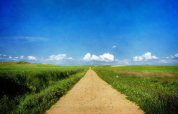 Nature, Grass, Sky, Clouds, Summer, Road, Sunny HD wallpaper