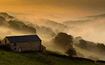 Early Morning, morning, peaceful, misty, houses, beauty, mist, fog, foggy, trees, house, landscape, beautiful, grass, tree, valley, view, clouds, nature, sky, lovely, splendor, village HD wallpaper