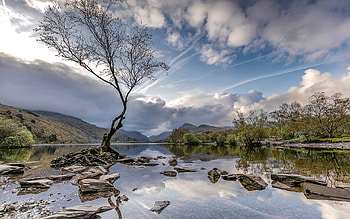 Lake in Wales, clouds, water, tree, lake HD wallpaper