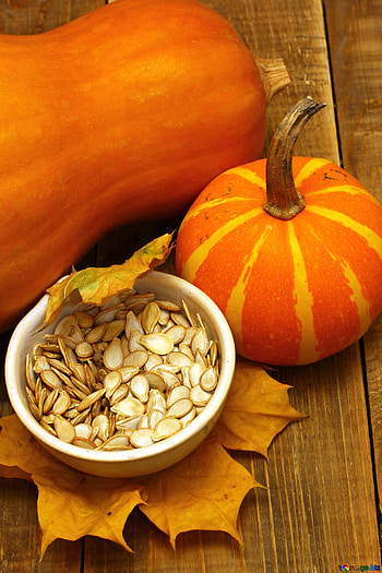 Pumpkins, Pumpkin Seeds HD phone wallpaper