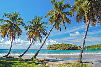 Grenada island, International Festival of the Island, Cultural celebration HD wallpaper