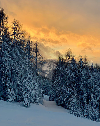 Winter, Nature, Sunset, Snow, Forest, Winter Landscape HD phone wallpaper