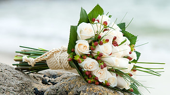 Flower Bouquet, Flower bouquet , Stunning display, Floral elegance HD wallpaper