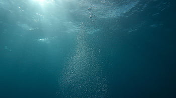 Peaceful underwater scene with sunlight and streaming bubbles in the ocean. HD wallpaper