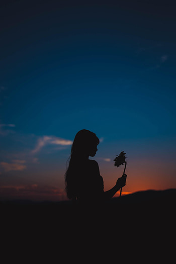 Sunset, Flower, Dark, Silhouette, Girl, Sunflower HD phone wallpaper
