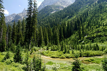 Nature, Usa, United States, National Park, Wyoming, Grand Titon, Grand Teton, Cascade Canyon HD wallpaper