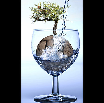 Dry-Wet, earth, abstract, 3d, art, trees, hot, glass, water HD wallpaper