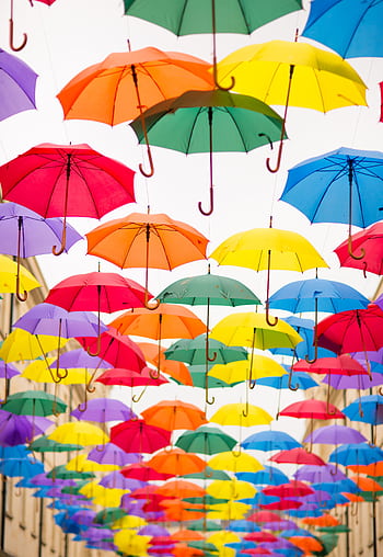 Colorful umbrellas creating a vivid outdoor installation under bright skies. HD phone wallpaper
