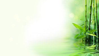 Green - High Resolution Green Background - & Background, Light Green Nature HD wallpaper