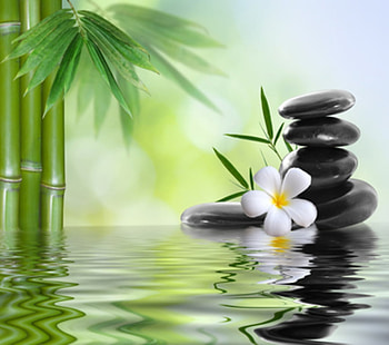 Zen basalt stones, Green, Leaves, Bamboo, Stones, Garden HD wallpaper