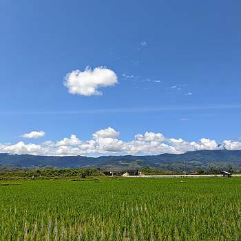 Alam, cloud, sky, sawah, awan, udara HD phone wallpaper