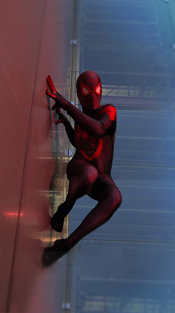 Spiderman, dc marvel HD phone wallpaper