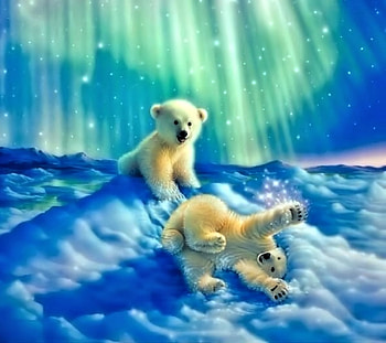young icebears, winter, bears, icebears, snow HD wallpaper