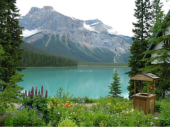 Lake, trees, nature, mountain HD wallpaper