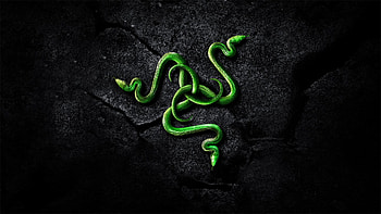 Tool - afari HD wallpaper