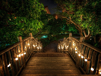 Bridge Lights, night, stairs, lights, trees, water, resort HD wallpaper