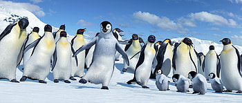 Happy Feet, Adorable penguins, High-quality , Vibrant colors HD wallpaper