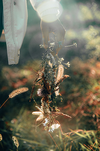Flowers, Cones, Glare, Shine, Light, Spikelets, Wreath HD phone wallpaper