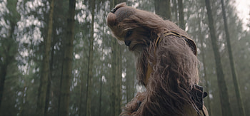 The Acolyte 2024: Chewbacca in Forest - TV Show, TV Show, The Acolyte (2024), Chewbacca HD wallpaper