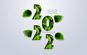 2022 Year Concepts, green leaves, 2022 New Year, eco concept, creative art, 2022 year, Happy New 2022 Year, Gray background HD wallpaper