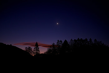 Nature, Trees, Twilight, Silhouette, Dusk, Star HD wallpaper
