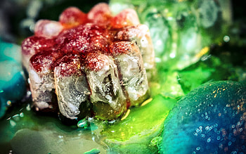 Ice cubes, macro, colorful HD wallpaper
