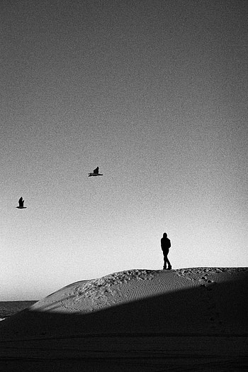 Desert, Miscellanea, Miscellaneous, Bw, Chb, Loneliness, Alone, Lonely HD phone wallpaper