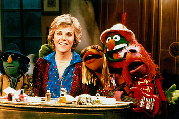 Anne Murray on the Muppet Show, TV Show, The Muppets (TV Show) HD wallpaper