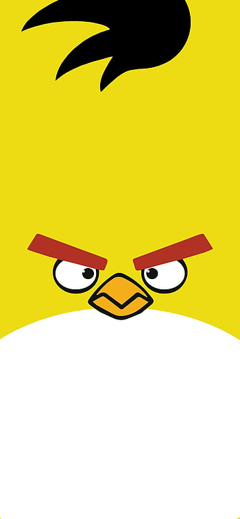 angry birds, yelow, haide notch HD phone wallpaper